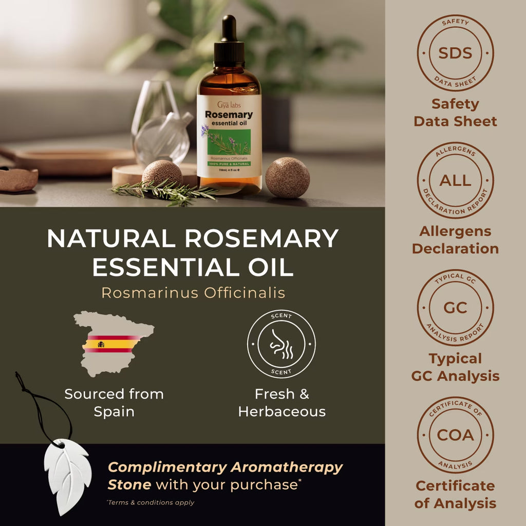 Rosemary Oil Set for Hair - Rosemary Essential Oil for Hair, Skin, Scalp, Diffuser & Candle Making Scent - with Leaf Styling Aromatherapy Stone(4 Fl Oz)